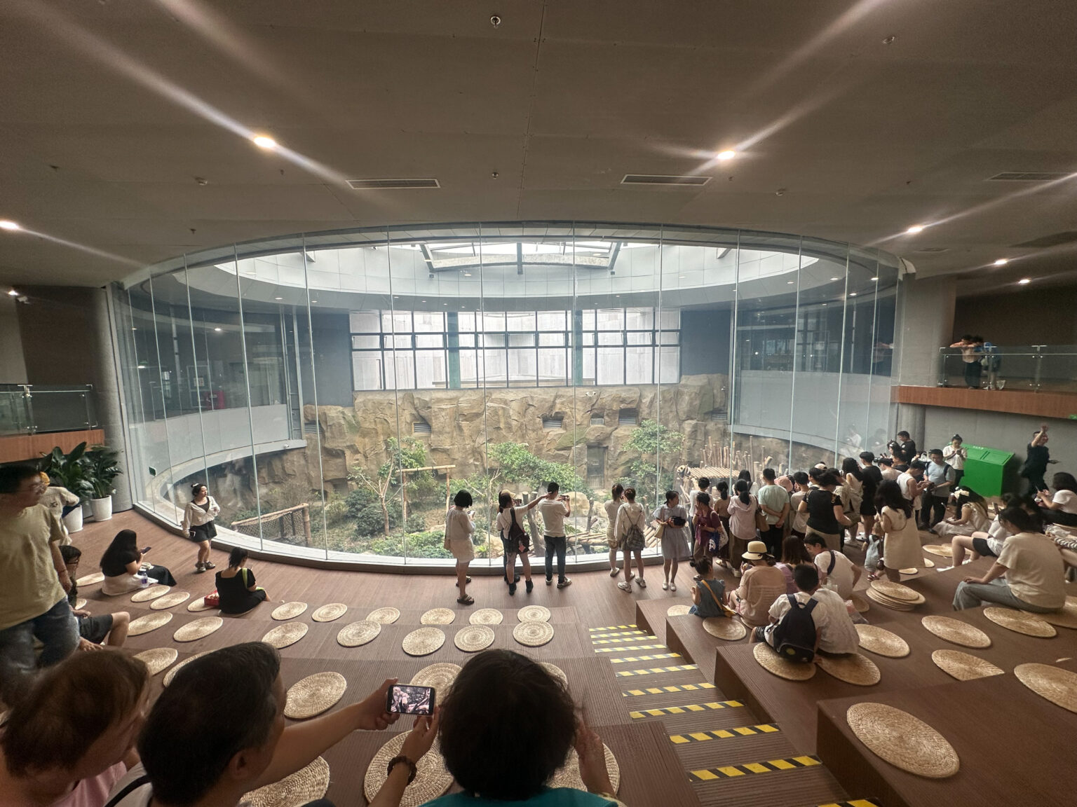Visitors gathered at an indoor panda viewing area at Chengdu Panda Base