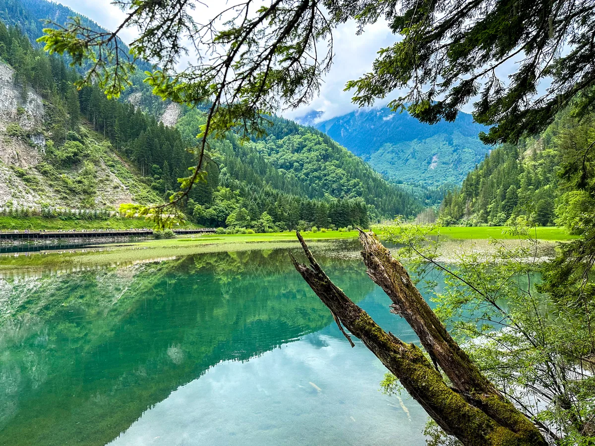 Bamboo Lake on Jiuzhaigou's right route