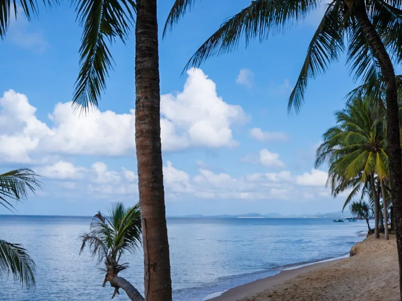 Palm-lined beach at Salinda Resort on central Long Beach in Phu Quoc