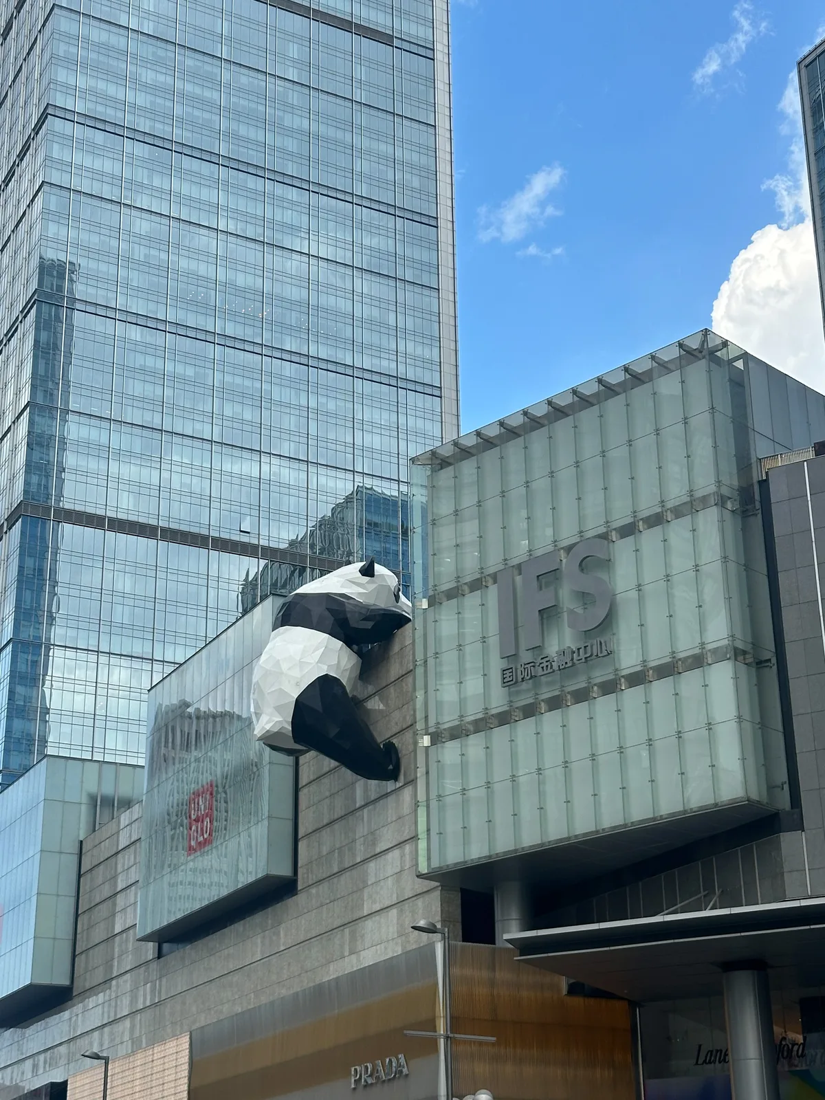 The giant panda sculpture climbing the IFS building in downtown Chengdu