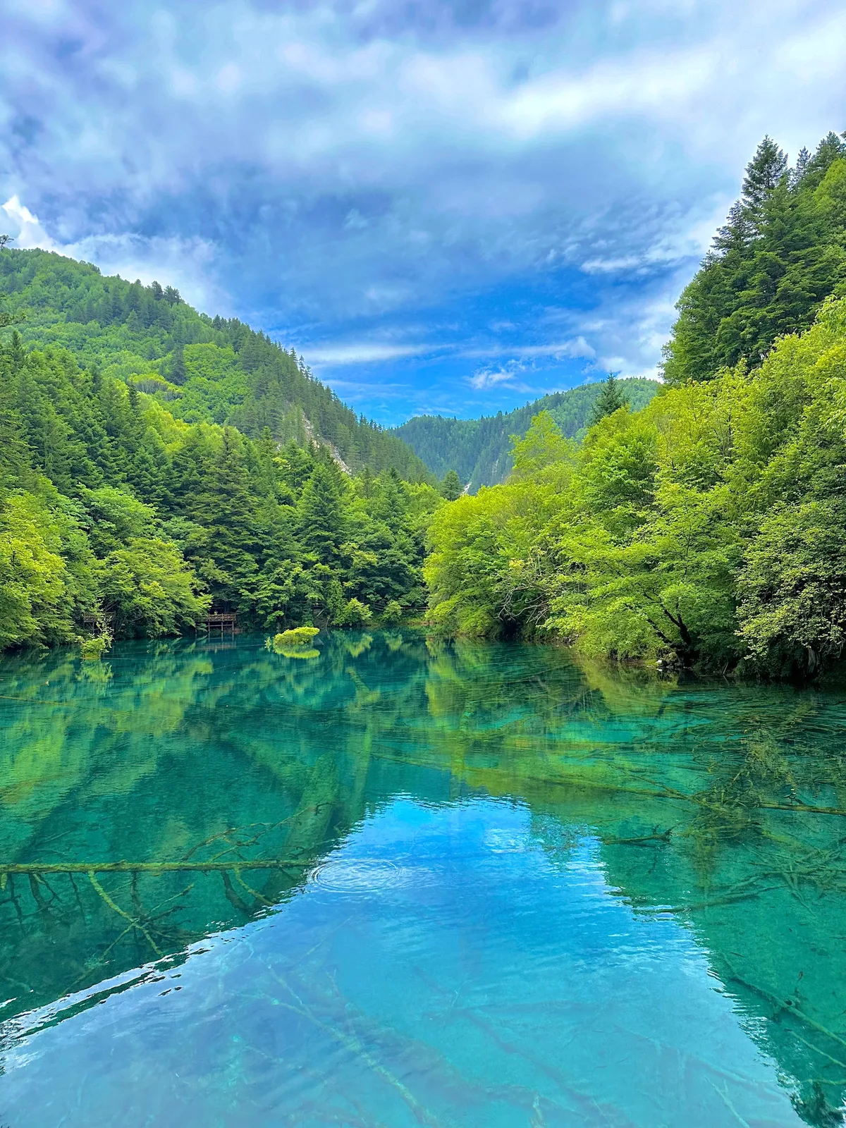 Five-Flower Lake, Jiuzhaigou's most famous and colorful lake