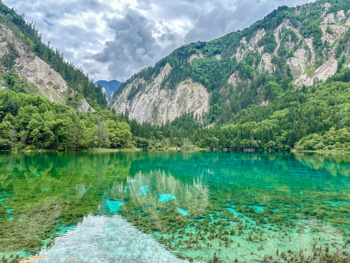 Five-Flower Lake shoreline view