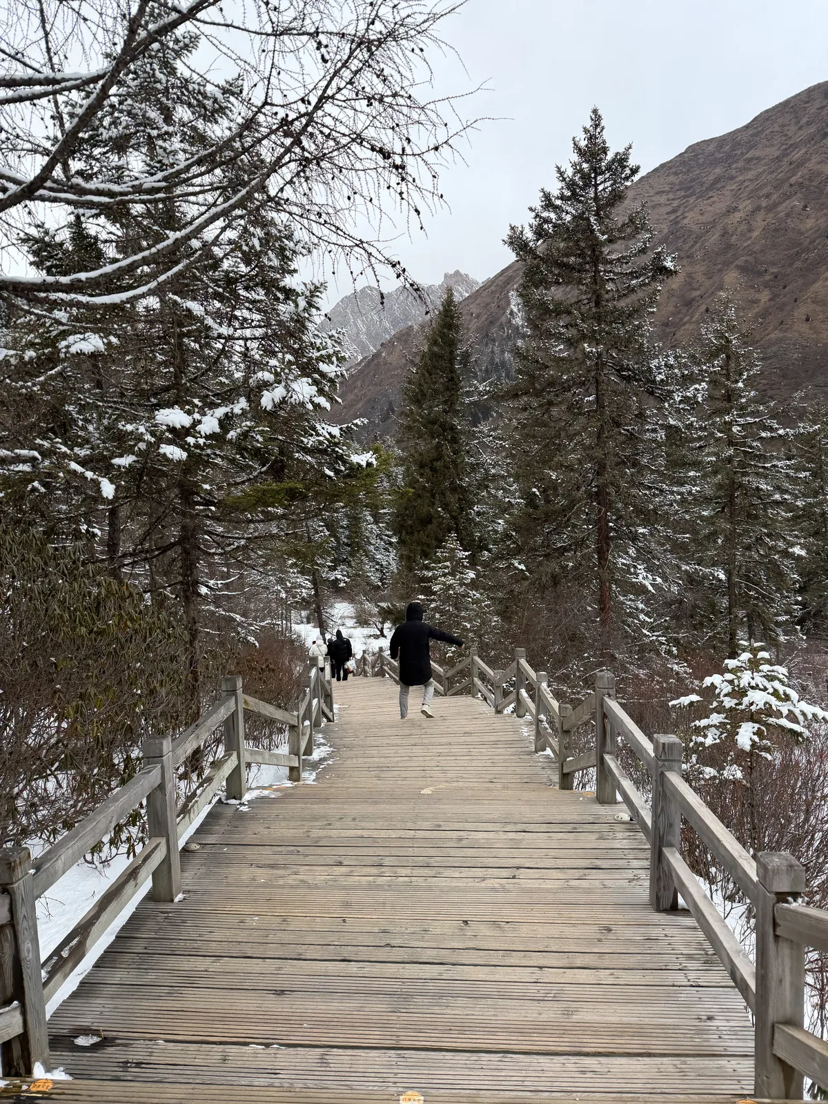 Wooden boardwalk trail on the walk down from Huanglong's Wuchi Pond
