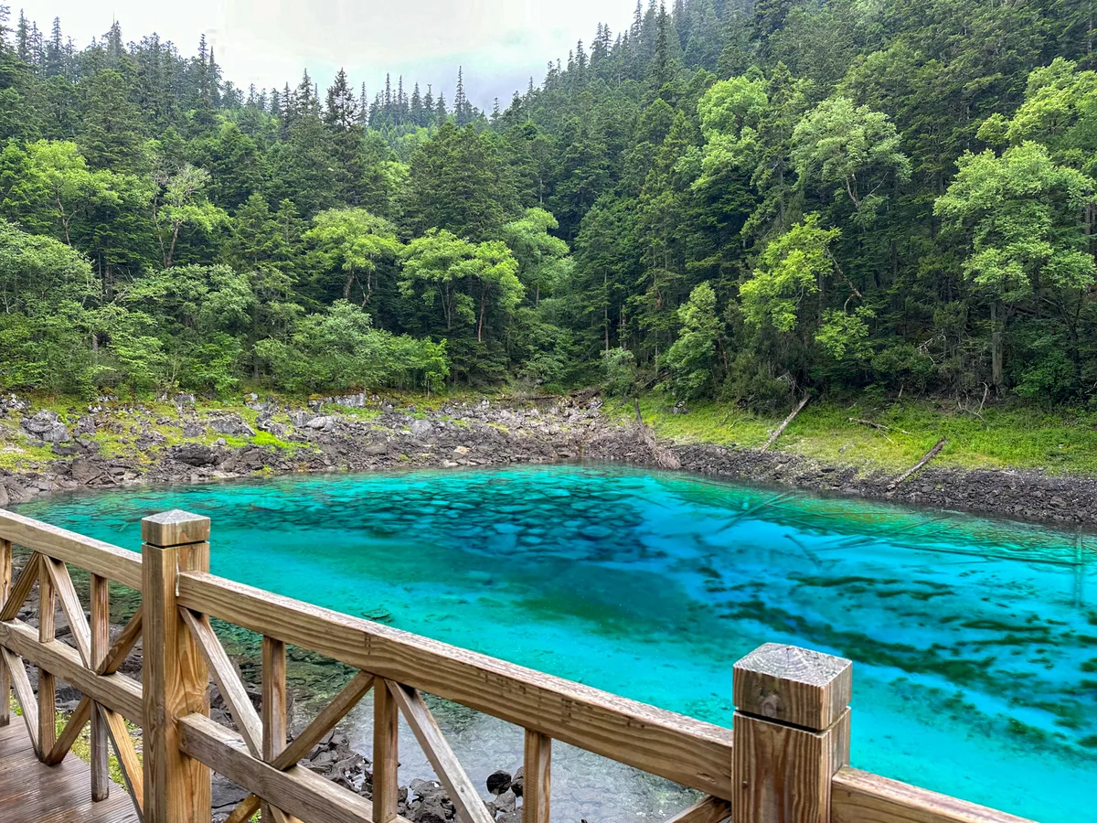 Wucaichi (Five-Colored Pond) in Jiuzhaigou during summer