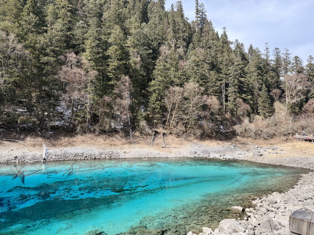 Turquoise lake beside a forest trail in Jiuzhaigou National Park