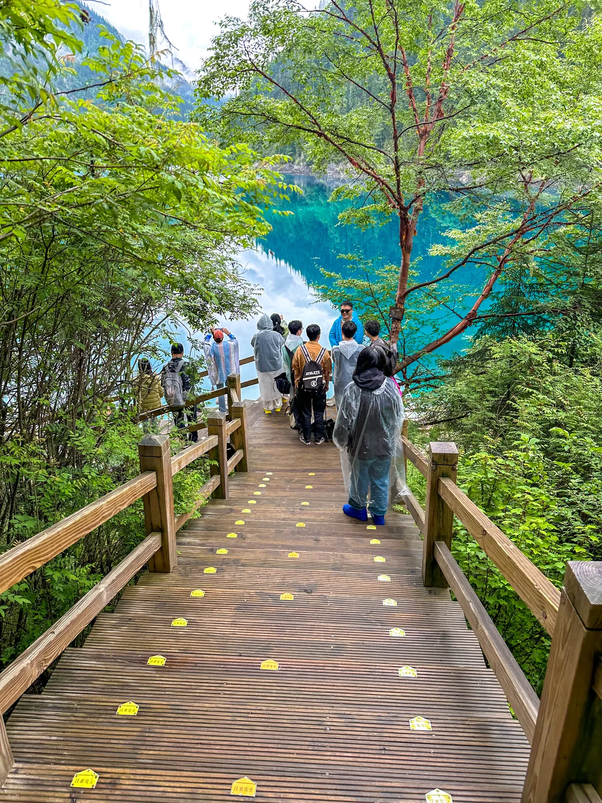 Zhanghai lake at 3,101m elevation on Jiuzhaigou's left route