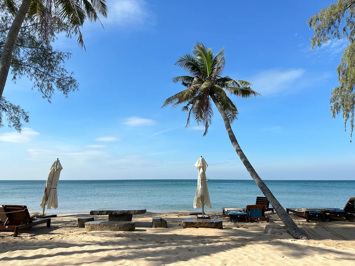 Quiet Phu Quoc beach shaded by palm trees with folded umbrellas under a clear sky